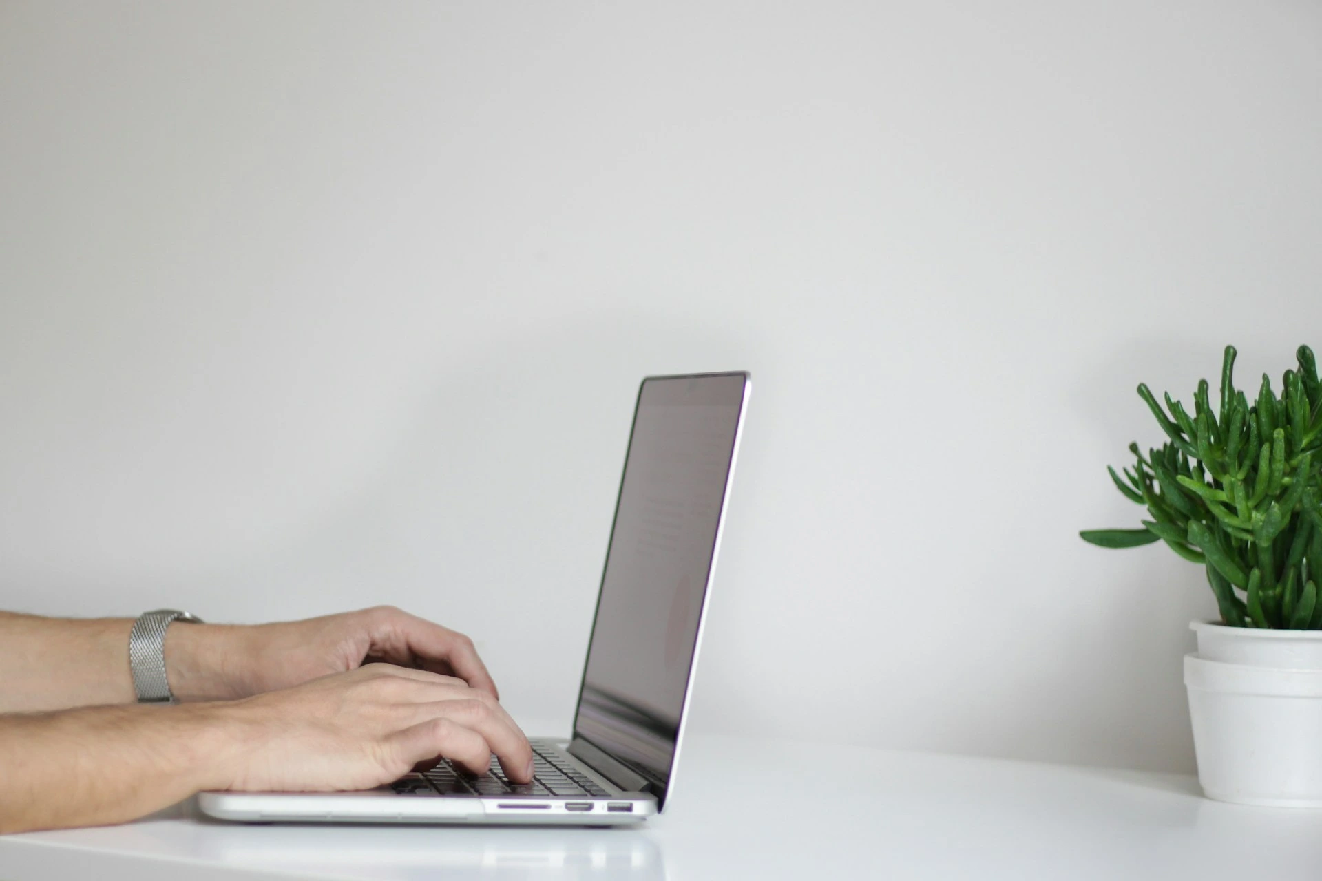 Vyhled&aacute;vače Ecosia a Qwant ozn&aacute;mily nov&eacute; spojenectv&iacute;, aby konkurovaly Google a Bing